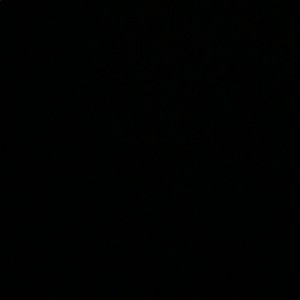 Meet your Posher, Evangeline